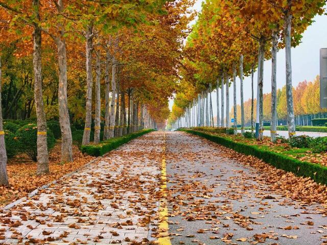 潍坊峡山：秋末冬初美景如画