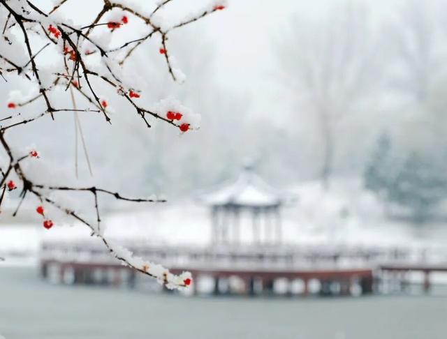 品，乾隆笔下的御园冬景