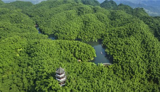 乐山秋日限定最后一波：红叶漫山处，林海踏秋时