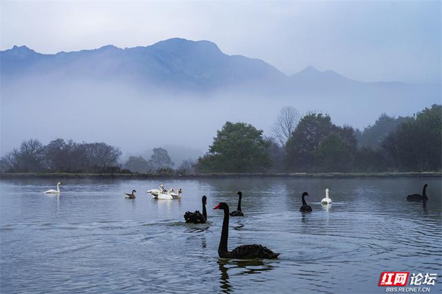 华中屋脊，秋色无边！这里是神农架