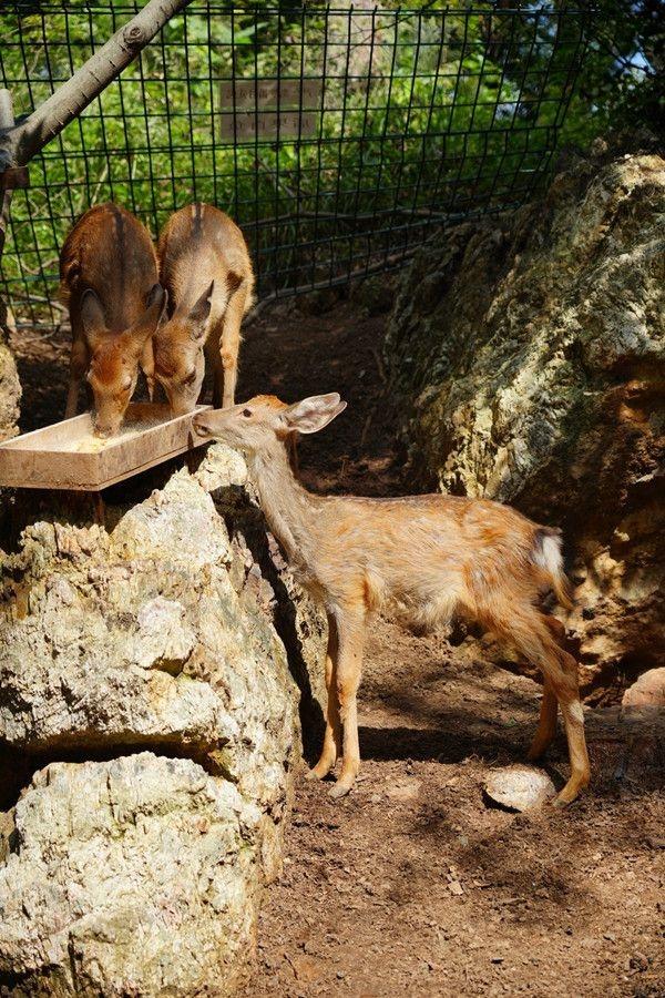就在14日！首届“Yue东湖”森林烧烤音乐会即将启幕
