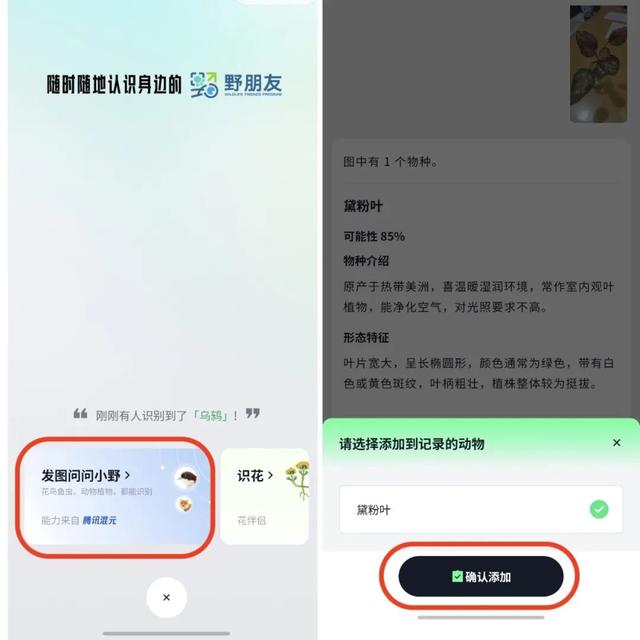 活动报名｜北京公园自然观察季 9.9-9.14多场活动招募