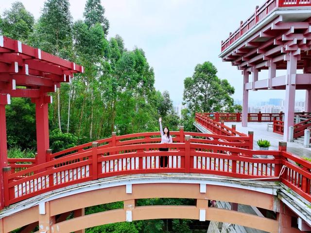 免门票！里水登高首选！3条赏秋路线→