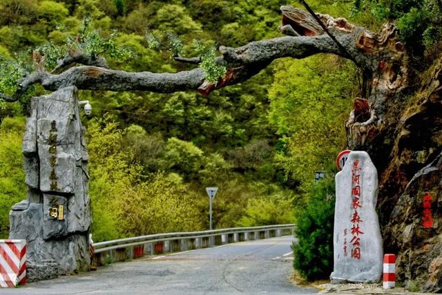 AU喂！被西安“拿捏”了！