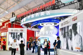 健康卫生服务专题展中医药展区亮相服贸会图片