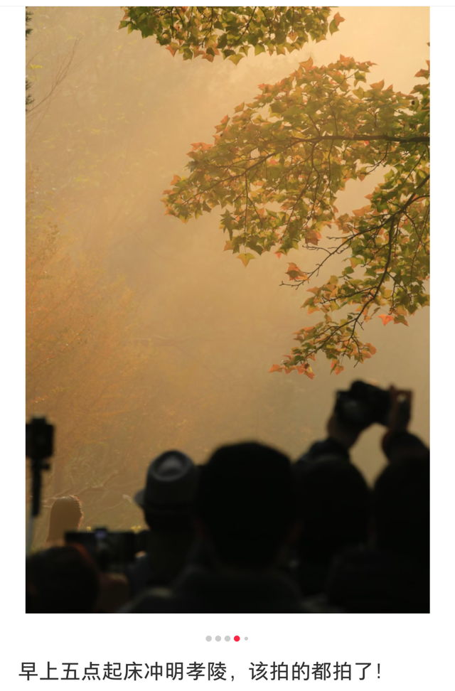 清晨5点，南京这里开始上人了