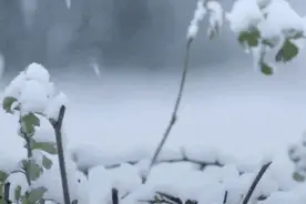 走进内蒙古、青海，感受小雪节气的特色风情！图片