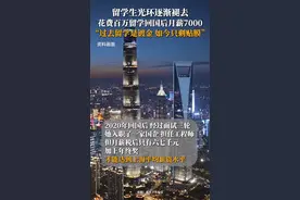 留学生光环逐渐褪去 花百万留学回国后月薪7000图片
