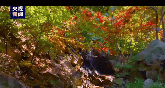 央视镜头一年四季都在打卡的九如山，到底有多大的吸引力?