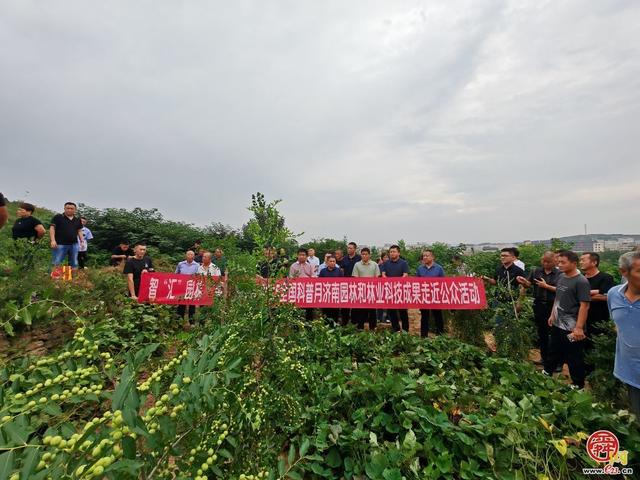 智“汇”园林 “泉”民共享｜济南市园林和林业科学研究院2025全国科普月系列活动精彩集锦