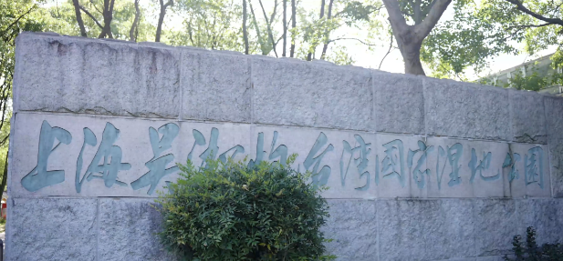 邂逅“醉”美河口，探秘宝山滨江湿地
