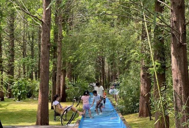 夏日旅游好去处 济南高新区第二条旅游线路来了