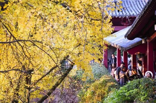 镇江，你变了！