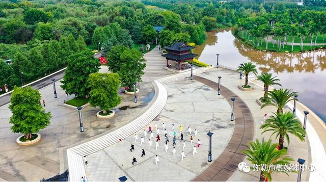 海鸥为何奔赴弥勒？原因找到了...