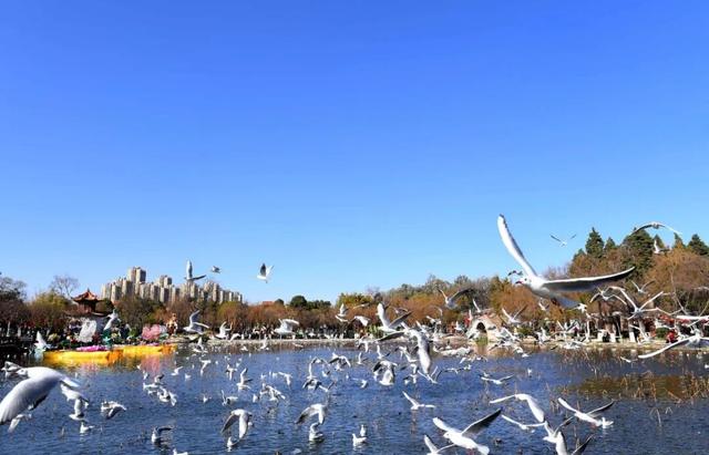 “每一棵树都绿意盎然” ！诺奖得主丹·谢赫特曼盛赞昆明生态建设与城市发展