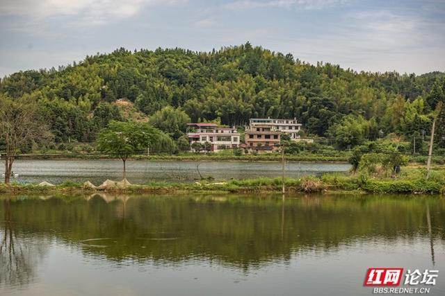 穿过稻田与渡槽，我遇见了山中静好的井头镇