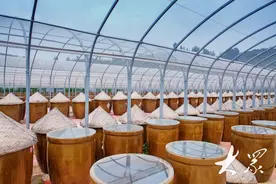 晒！ 翻！没有“科技与狠活”的古法缸酿酱油是怎样制作的？图片