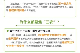 图解中央一号文件丨什么是中央一号文件？图片