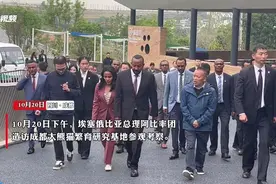 C视频丨希望大熊猫来到埃塞！阿比总理率团造访熊猫基地图片