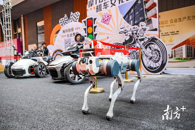 “美丽经济”闪耀顺德，2025珠宝时尚文化节启幕