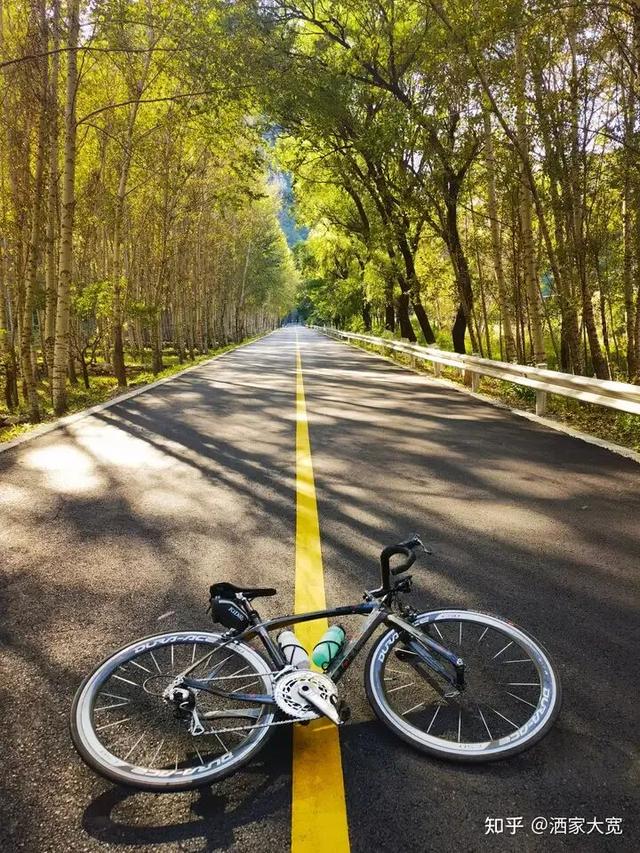 如何描述“北京的秋”？这是一期有温度的推送……