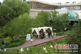 且为茶香赴山野 三峡茶旅小镇打造国风茶文化深度体验游图片