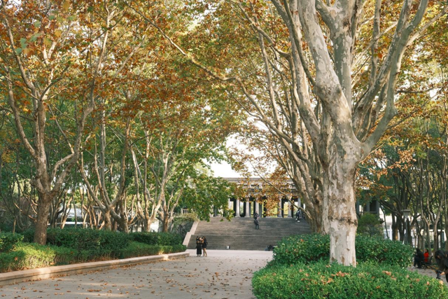 从站台到风景→无锡冬日最美交通线