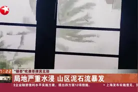 “银杏”吹袭菲律宾北部 局地严重水浸 山区泥石流暴发视频封面