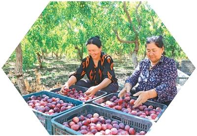 人民日报海外版看新疆丨大美新疆今更美