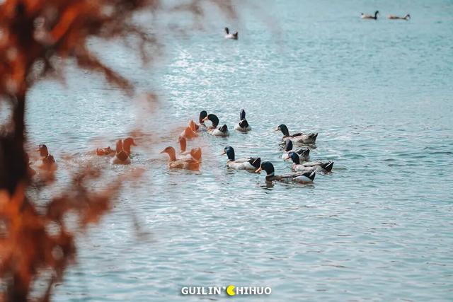 冬至丨解锁桂林的多彩冬天！