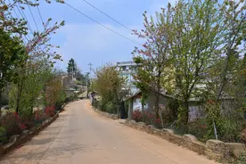 泸西：富民强村振兴路越走越宽图片