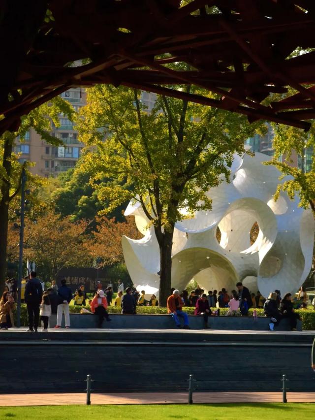 红花槭火红、银杏金黄、乌桕美如油画……静安这里藏着一片绝美秋色→