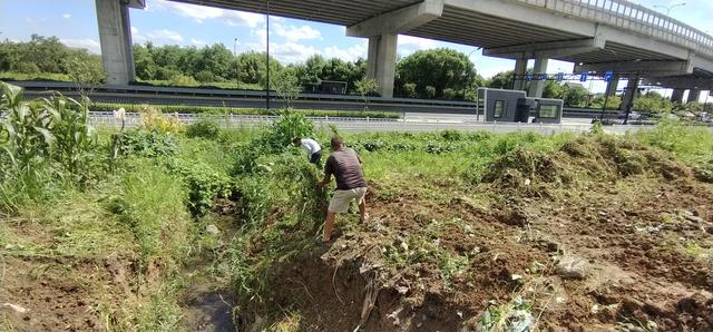 大片油菜花开，恍若邂逅春日！良渚七贤桥村花海成热门打卡地