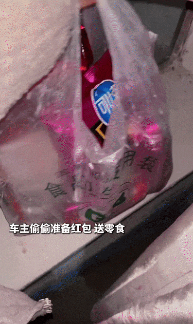 游客在阿勒泰自驾撞伤小羊，牧民：跟我走……