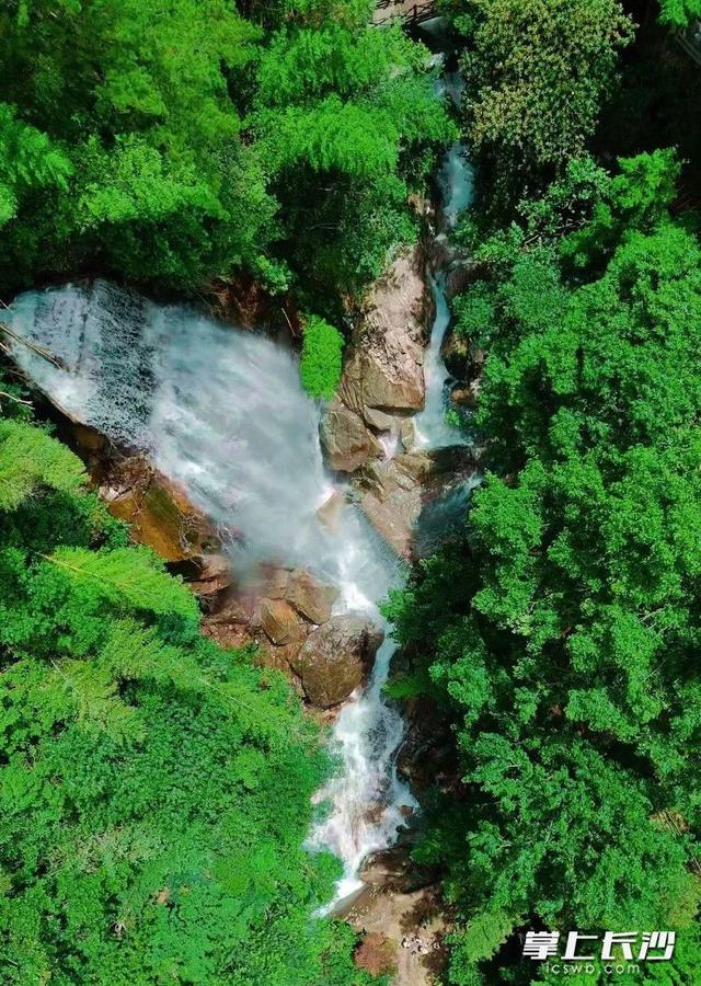 风裹竹香水带甜，在大围山寻一份盛夏清凉