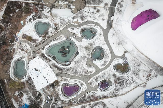 沈阳：“冰雪+温泉”引爆冬季文旅