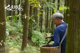 预告｜哪种中药，竟让苏轼笔下的幽居人遗忘了鹿茸？图片