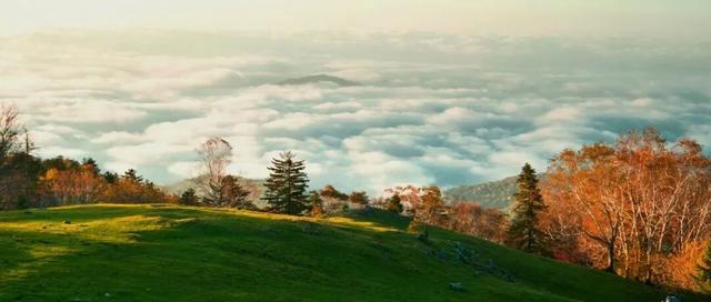乘着高铁游白山 | “百区百景”打卡攻略之江源区仙人谷风景区