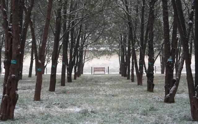 京城初雪！一大波雪景美图来了