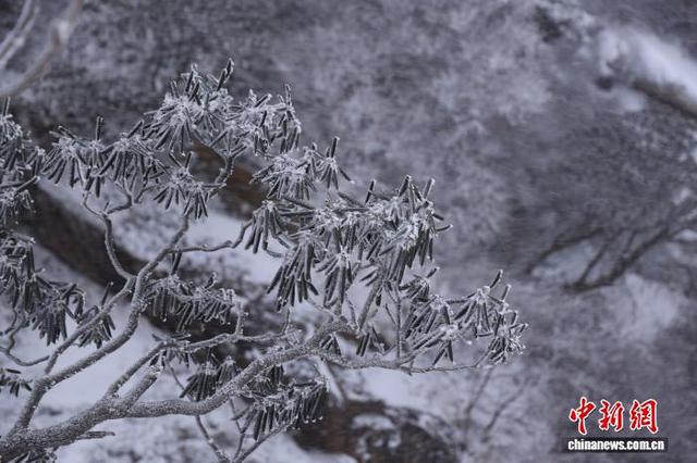 豫西落雪：白云山间银装素裹