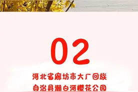 五一怎么玩？副中心推出三条“赏花+”特色打卡路线图片