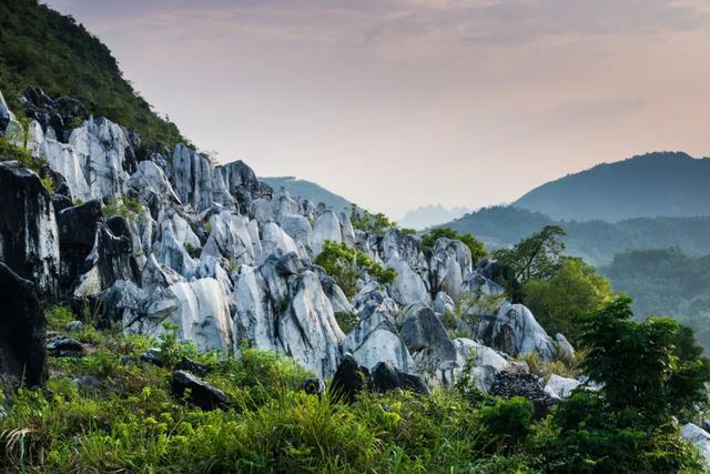 无限暖意！广西发布6条“康养旅居 冬游广西”系列精品线路