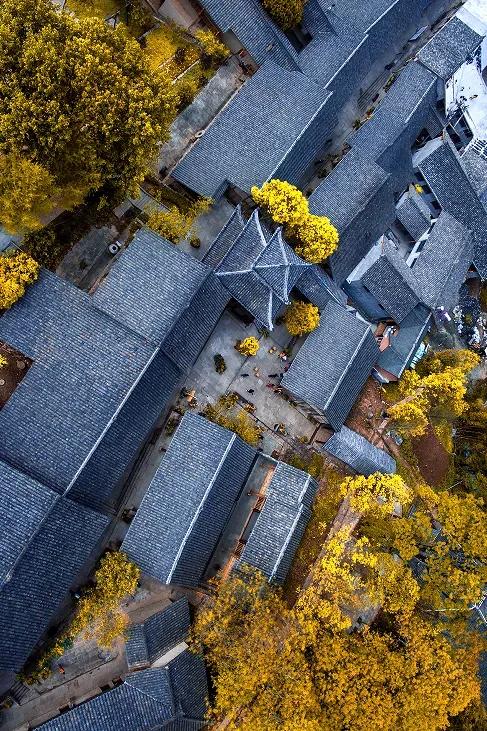 四川太宠粉啦~🤭“川超”门票免费游景区,你用过吗?