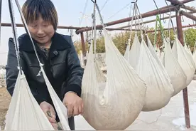 河南宝丰：红薯丰收 群众致富图片