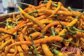 三樟黄贡椒，从“麻布袋子捆着卖”到争相“抢鲜”图片