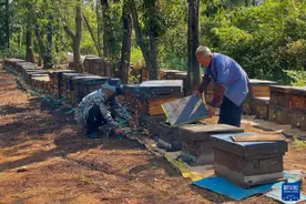 乡村振兴|文艺老蜂农·蜗牛梦想家·鸵鸟司令——三代农人的特色养殖故事图片