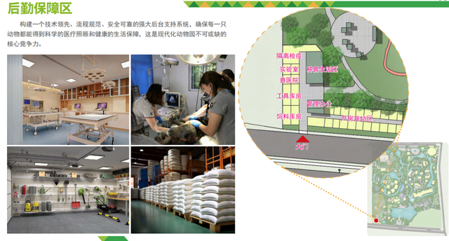 3.0时代开启！临沂动植物园焕新重塑，打造城市生态新地标