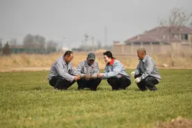 图集｜巾帼新农人 “慧”种盐碱地图片