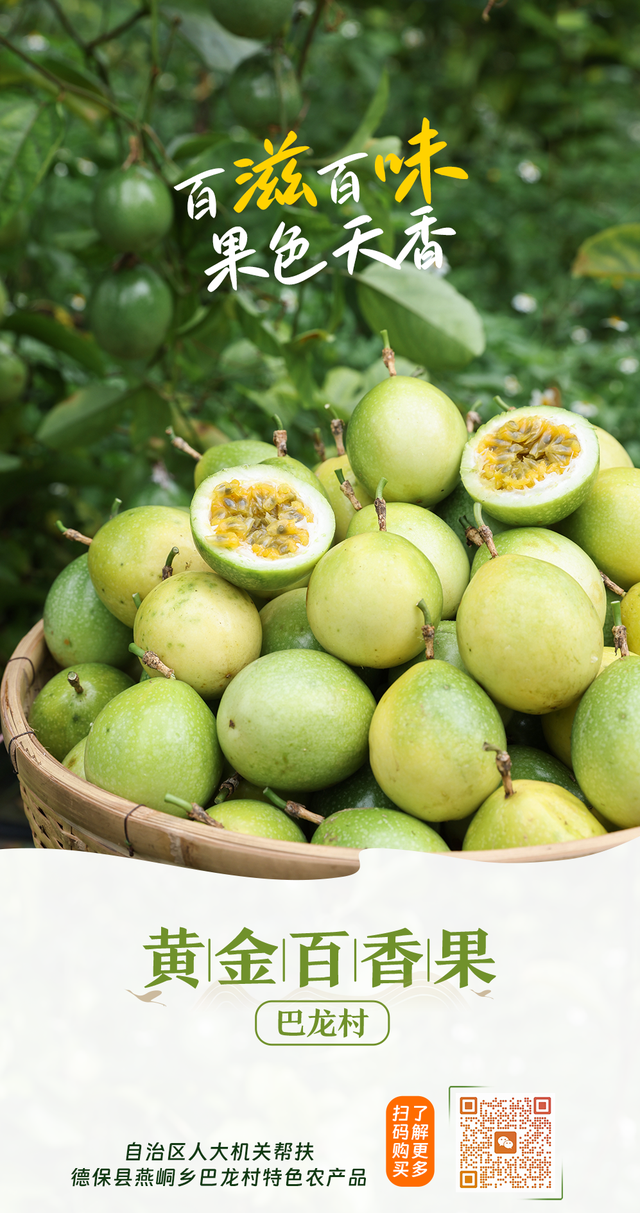 罗丽岩：让巴马旅游火出圈更出彩