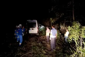 长沙一爹爹深山摘板栗迷路，14小时后被平安找到图片